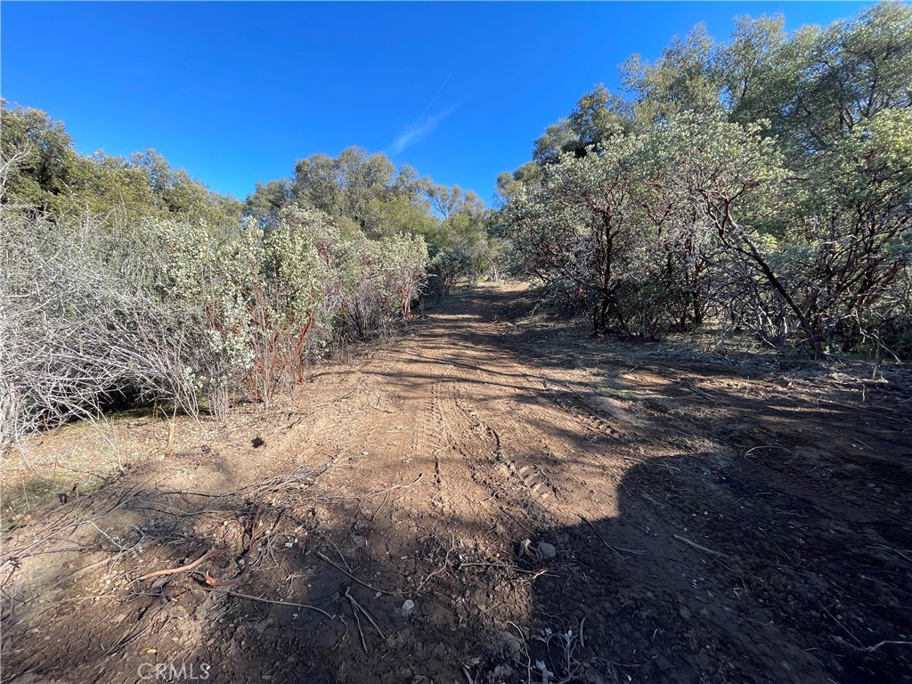 20 Harris Cutoff Rd, Mariposa, CA 95338