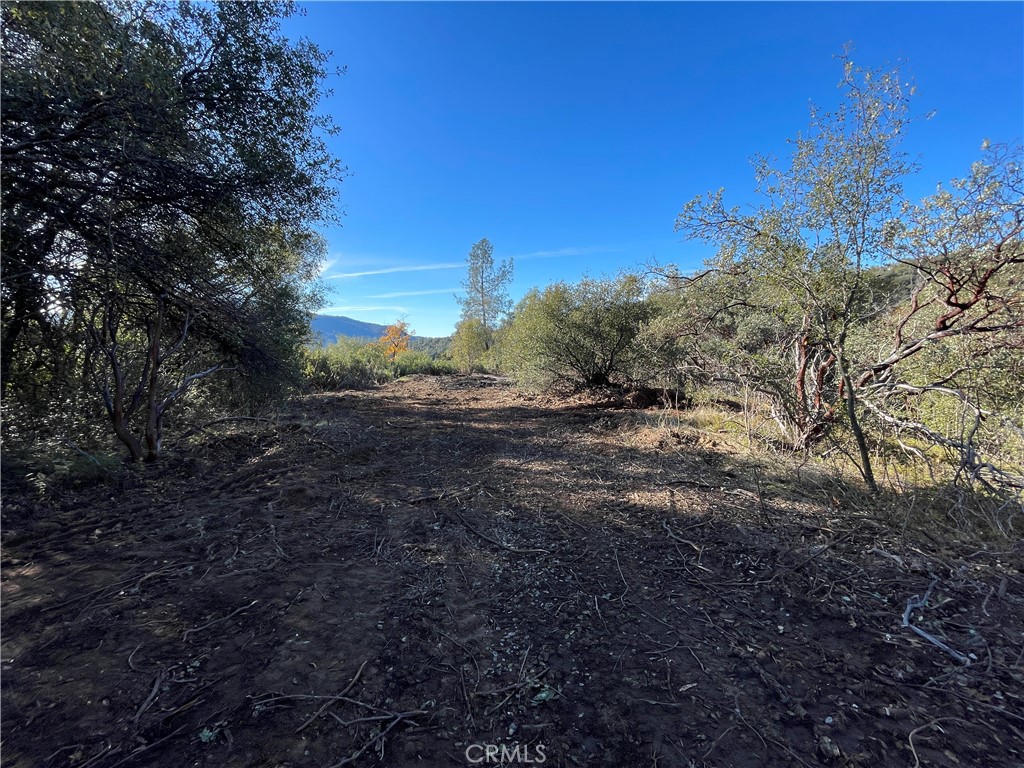 20 Harris Cutoff Rd, Mariposa, CA 95338