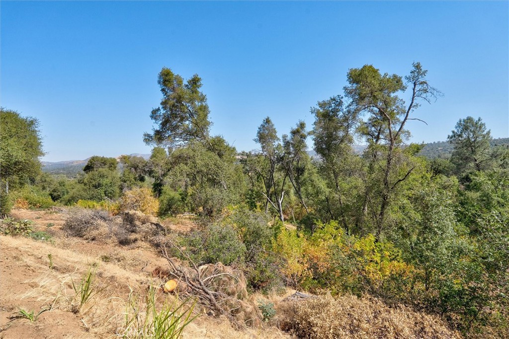 4729 Lookout Mountain Rd, Mariposa, CA 95338