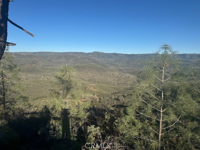 10662 Penon Blanco Lookout Rd, Coulterville, CA 95311