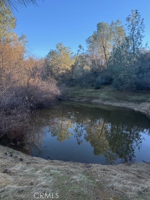 10662 Penon Blanco Lookout Rd, Coulterville, CA 95311