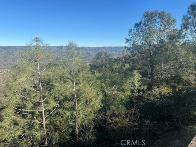 10662 Penon Blanco Lookout Rd, Coulterville, CA 95311