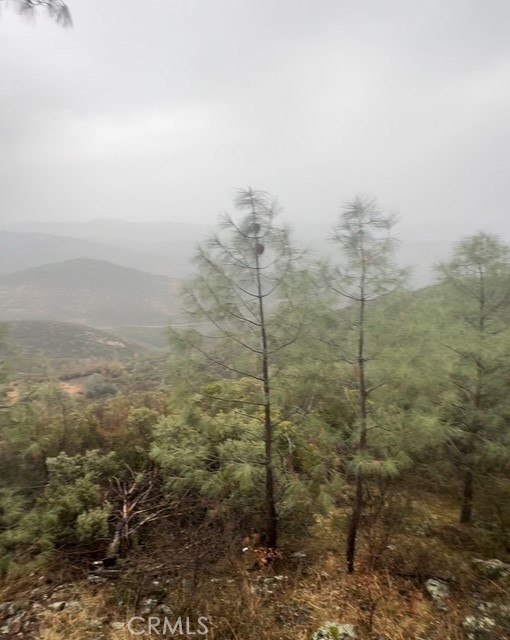 10662 Penon Blanco Lookout Rd, Coulterville, CA 95311