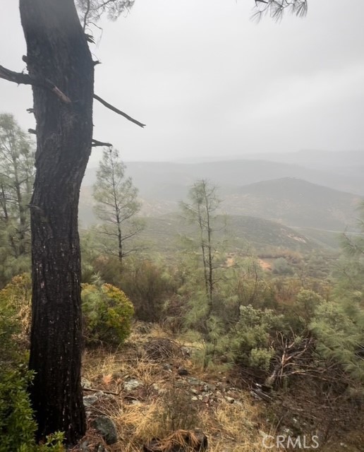 10662 Penon Blanco Lookout Rd, Coulterville, CA 95311