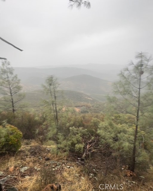 10662 Penon Blanco Lookout Rd, Coulterville, CA 95311