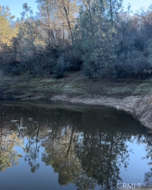 10662 Penon Blanco Lookout Rd, Coulterville, CA 95311