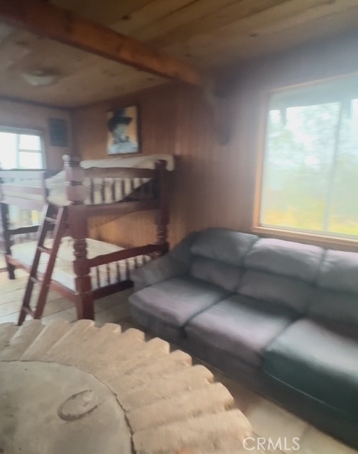 10662 Penon Blanco Lookout Rd, Coulterville, CA 95311