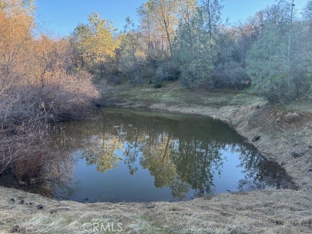 10662 Penon Blanco Lookout Rd, Coulterville, CA 95311