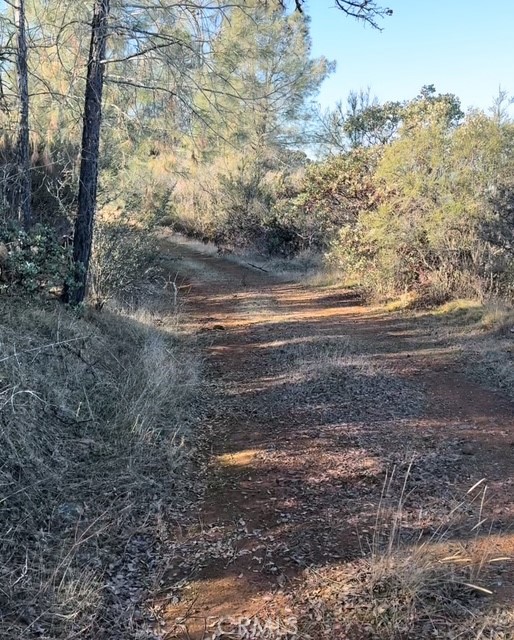 10662 Penon Blanco Lookout Rd, Coulterville, CA 95311