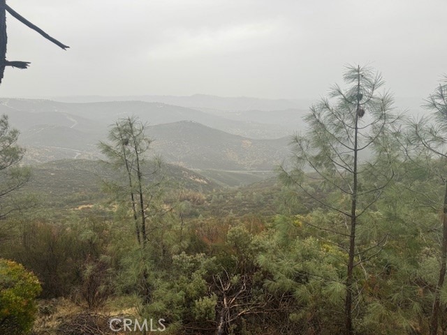 10662 Penon Blanco Lookout Rd, Coulterville, CA 95311