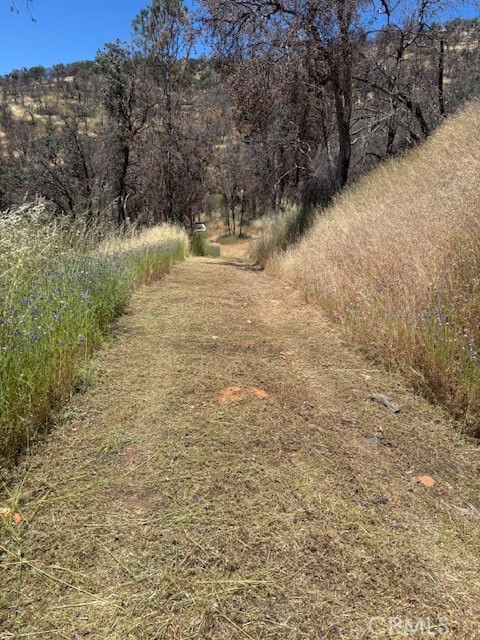 5358 Mariposa Heights Rd, Mariposa, CA 95338