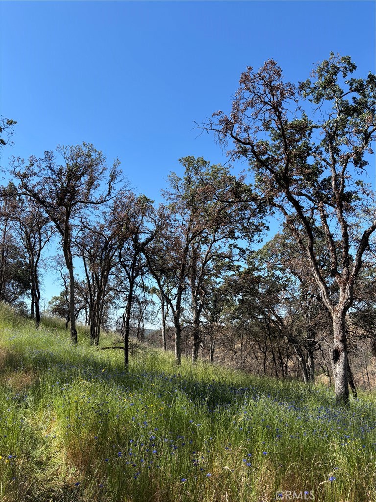 5358 Mariposa Heights Rd, Mariposa, CA 95338