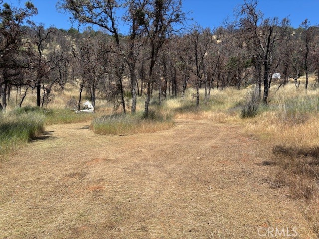 5358 Mariposa Heights Rd, Mariposa, CA 95338