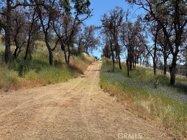 5358 Mariposa Heights Rd, Mariposa, CA 95338