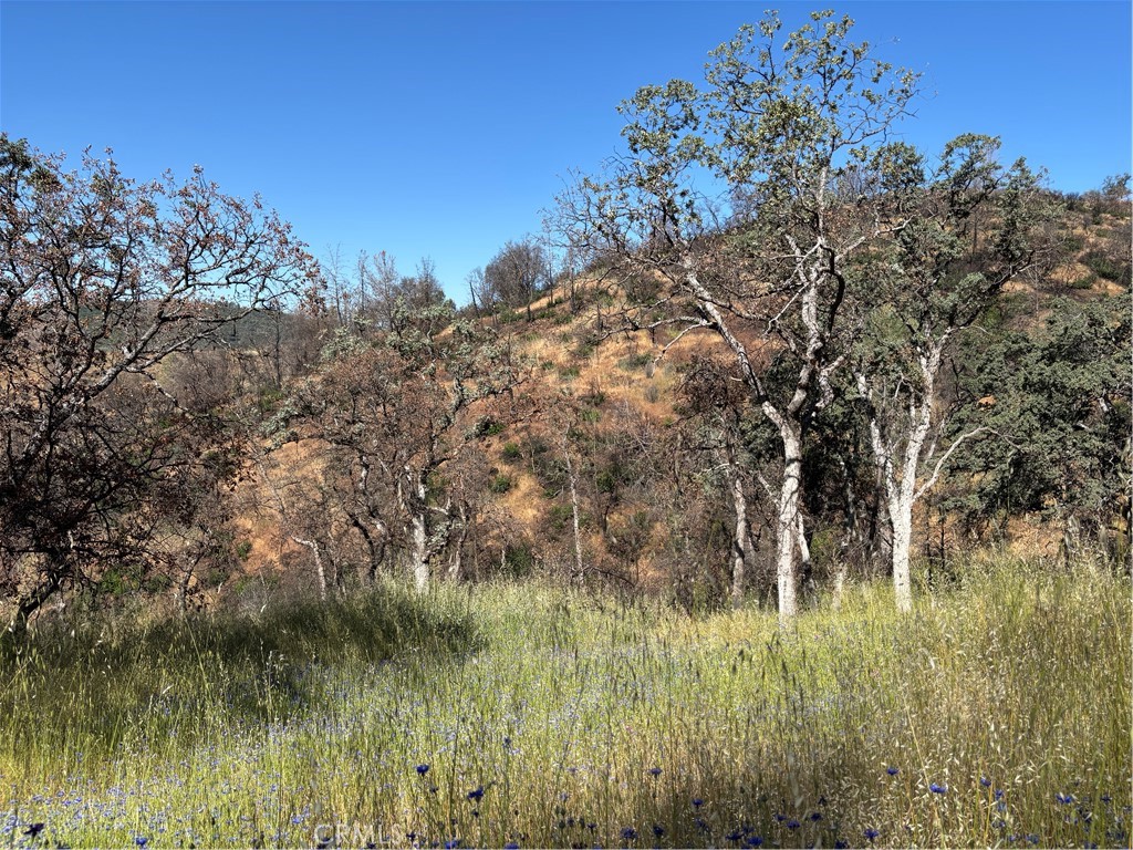 5358 Mariposa Heights Rd, Mariposa, CA 95338