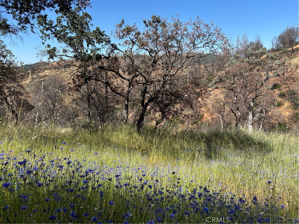 5358 Mariposa Heights Rd, Mariposa, CA 95338