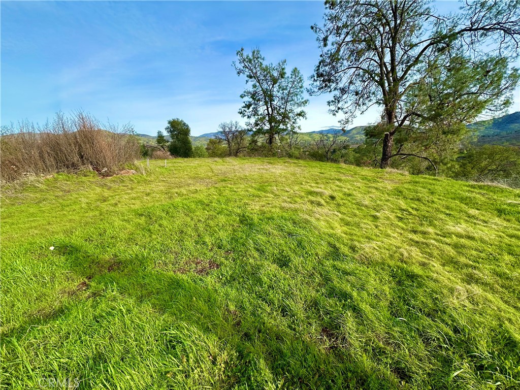 3224 Silver Bush Pl, Catheys Valley, CA 95306