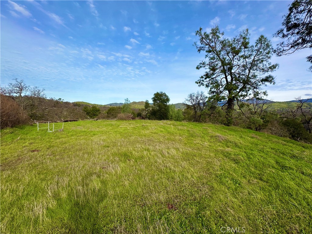 3224 Silver Bush Pl, Catheys Valley, CA 95306