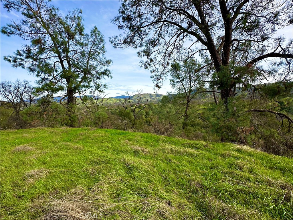 3224 Silver Bush Pl, Catheys Valley, CA 95306