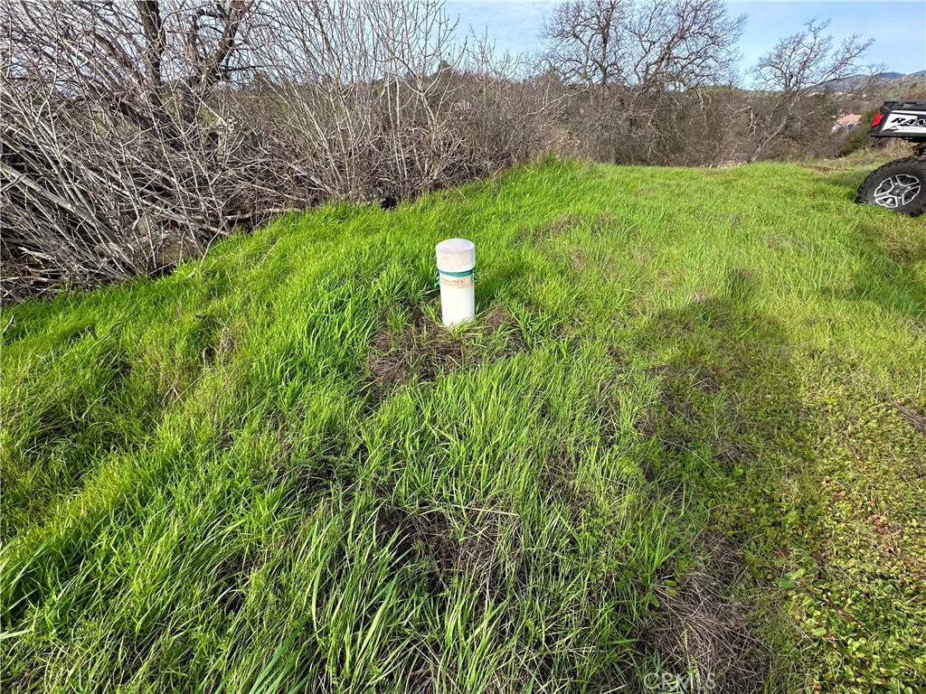 3224 Silver Bush Pl, Catheys Valley, CA 95306