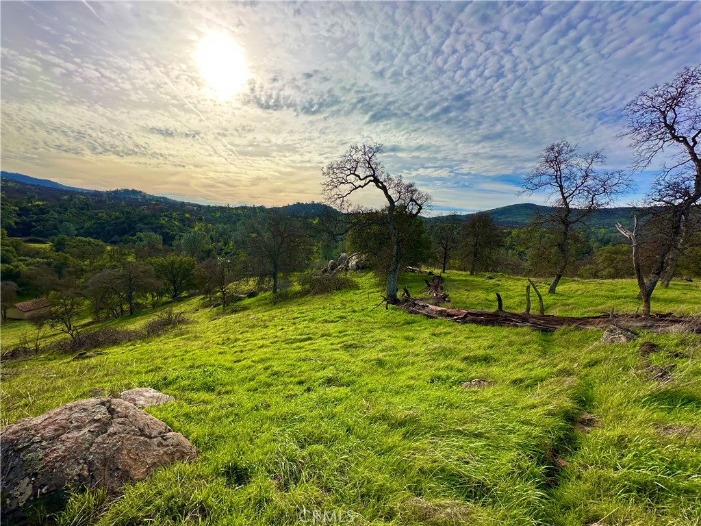 3224 Silver Bush Pl, Catheys Valley, CA 95306