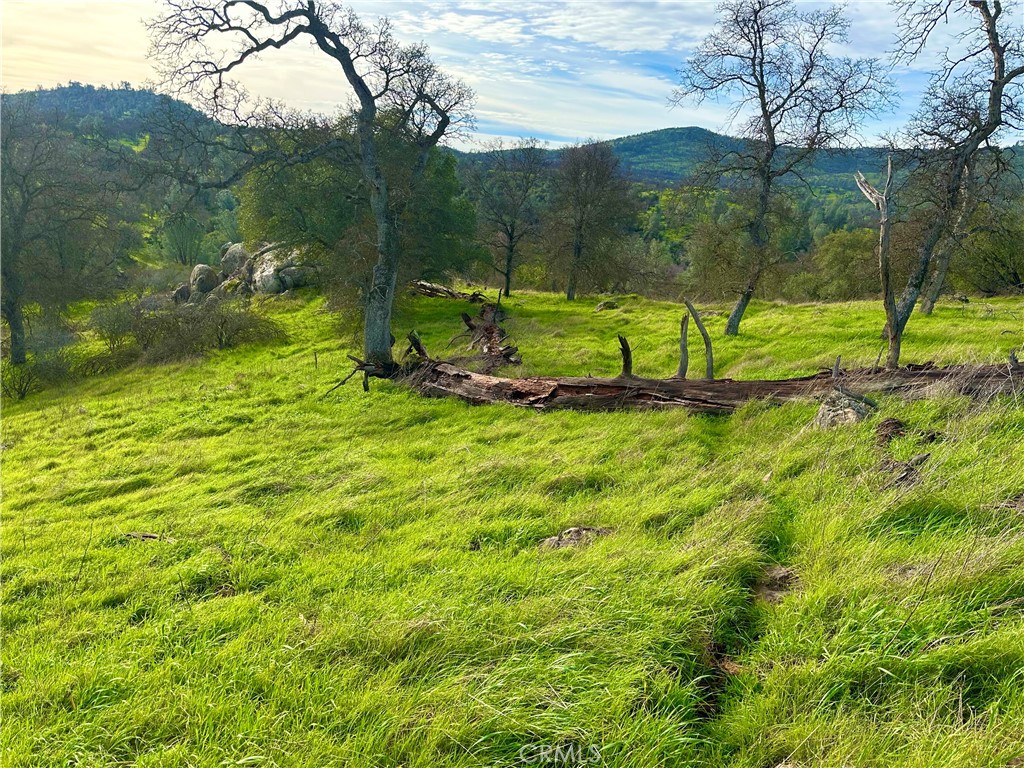 3224 Silver Bush Pl, Catheys Valley, CA 95306