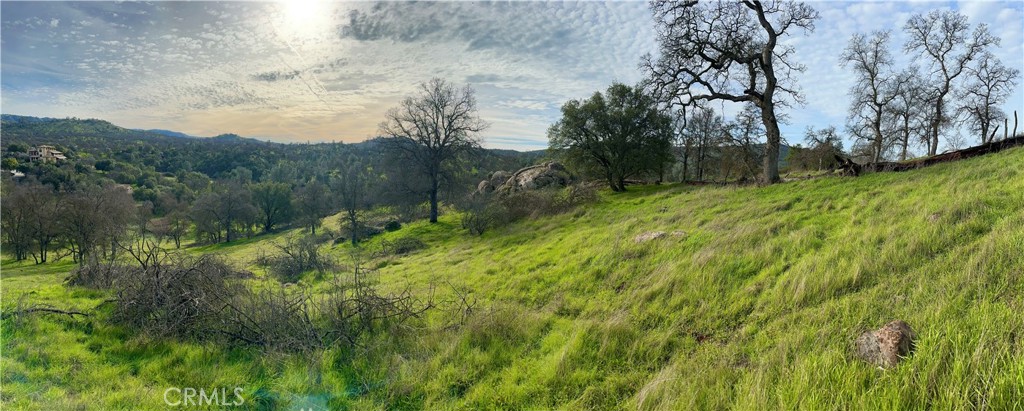 3224 Silver Bush Pl, Catheys Valley, CA 95306