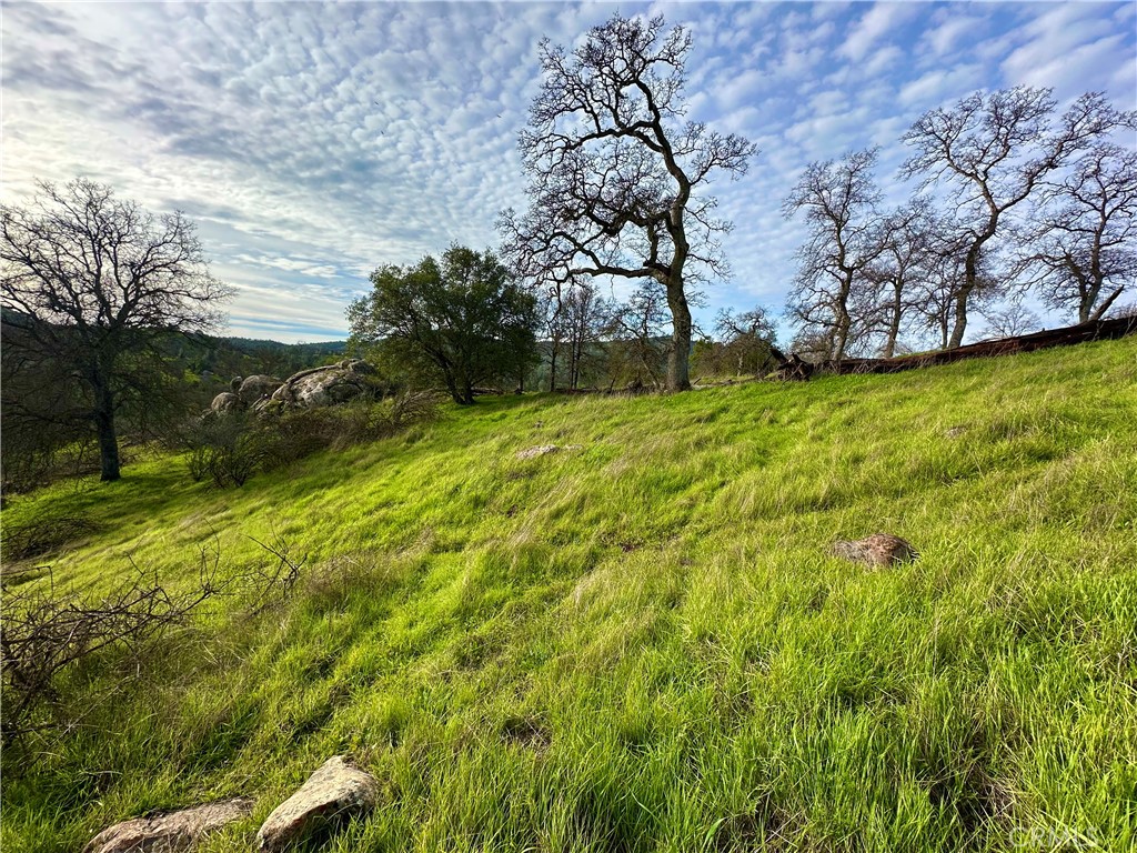 3224 Silver Bush Pl, Catheys Valley, CA 95306