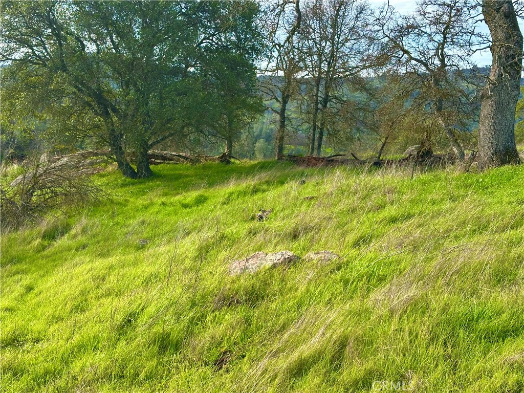 3224 Silver Bush Pl, Catheys Valley, CA 95306