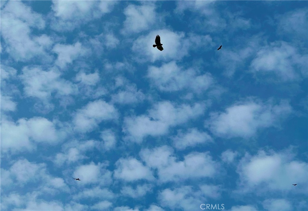 3224 Silver Bush Pl, Catheys Valley, CA 95306