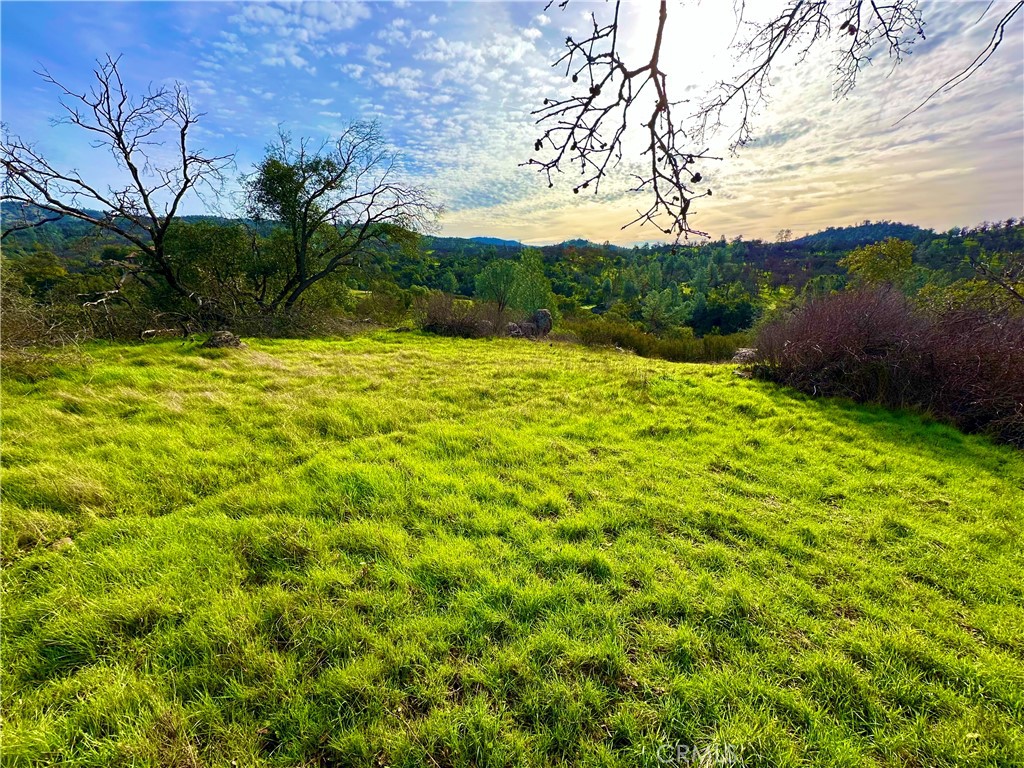 3224 Silver Bush Pl, Catheys Valley, CA 95306