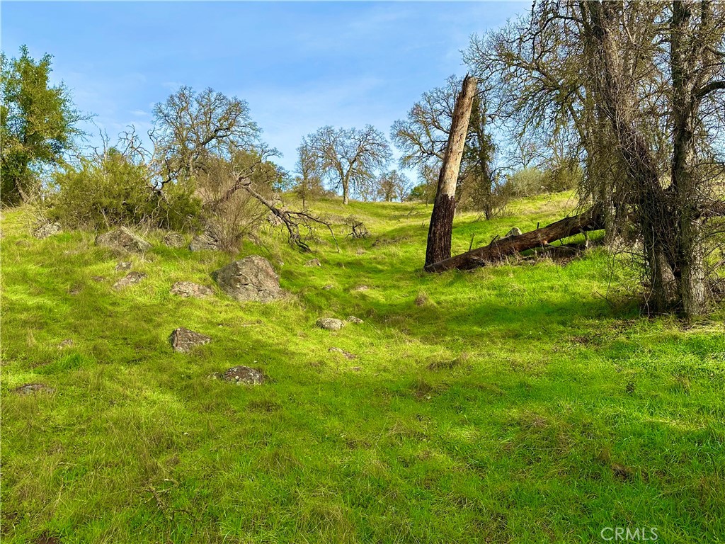 3224 Silver Bush Pl, Catheys Valley, CA 95306