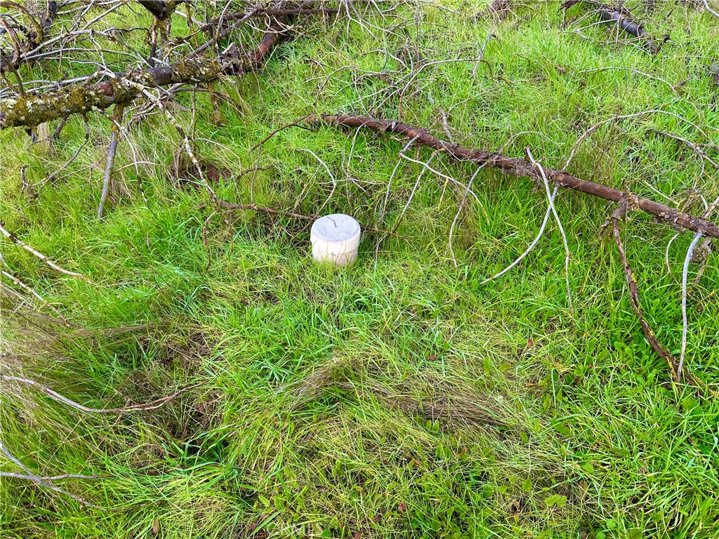 3224 Silver Bush Pl, Catheys Valley, CA 95306