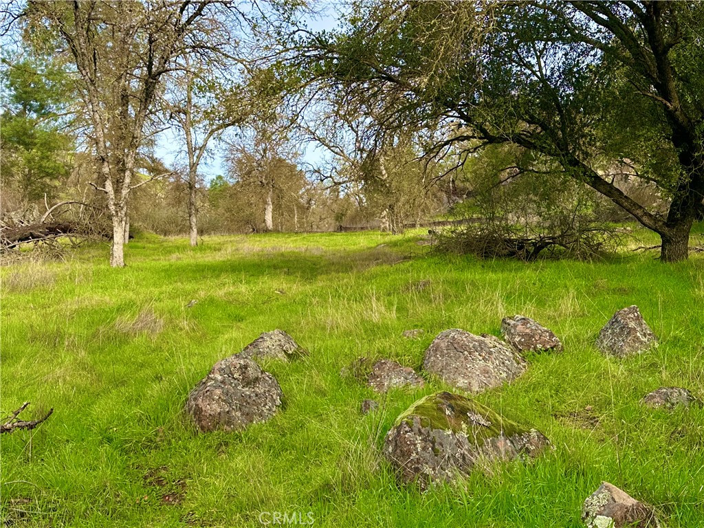 3224 Silver Bush Pl, Catheys Valley, CA 95306