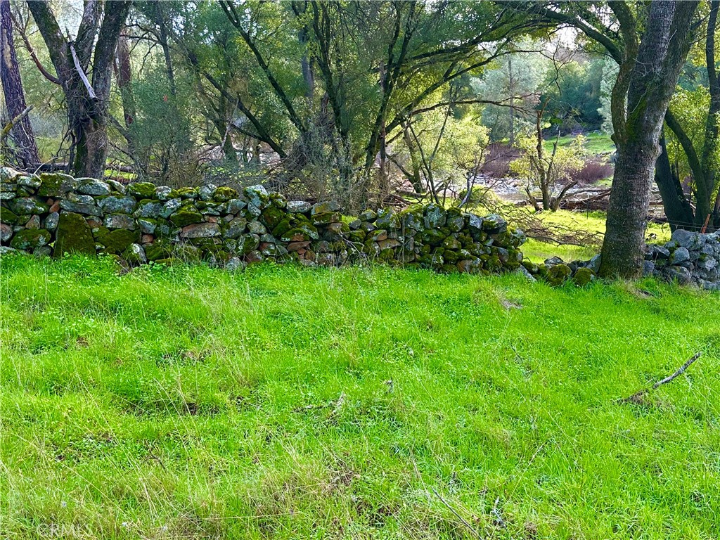 3224 Silver Bush Pl, Catheys Valley, CA 95306