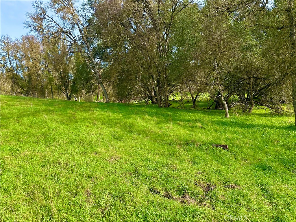 3224 Silver Bush Pl, Catheys Valley, CA 95306