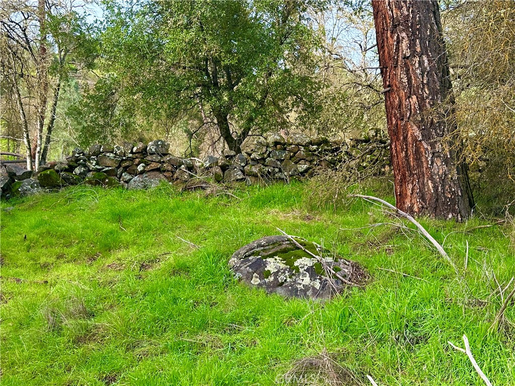 3224 Silver Bush Pl, Catheys Valley, CA 95306