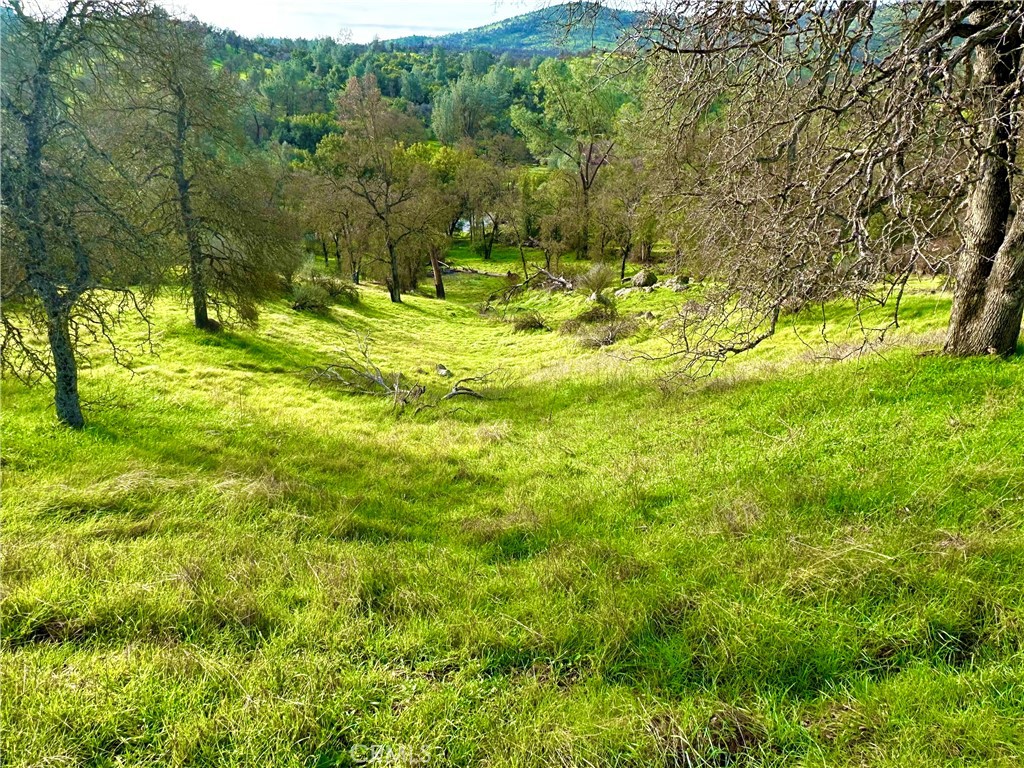 3224 Silver Bush Pl, Catheys Valley, CA 95306