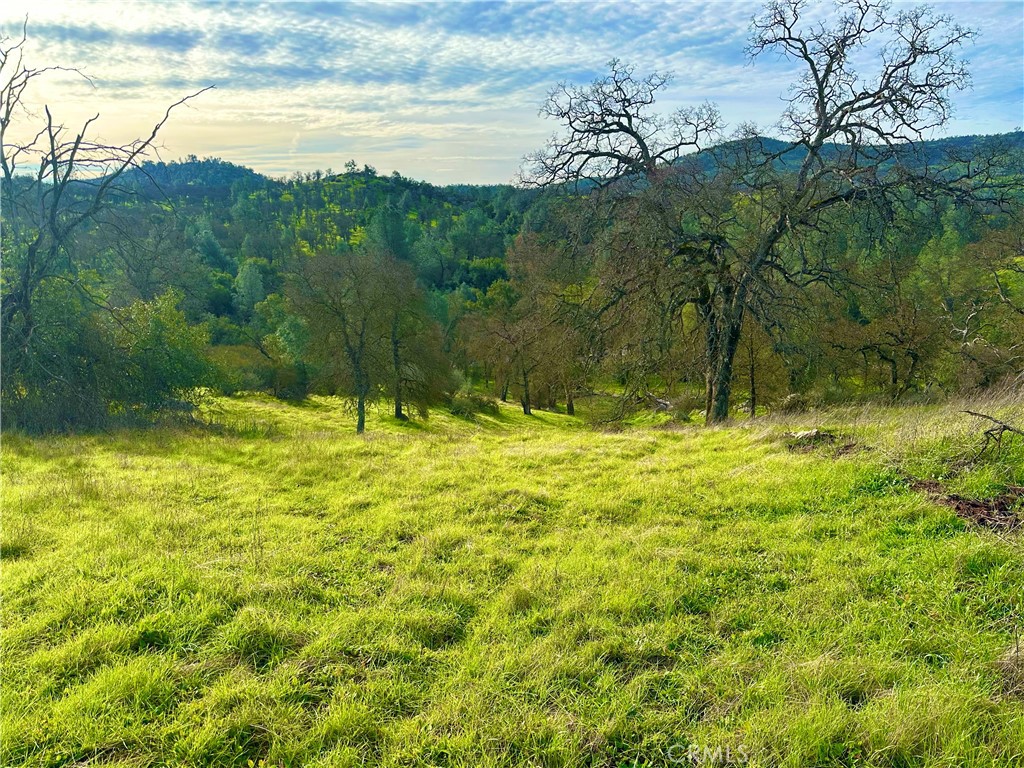 3224 Silver Bush Pl, Catheys Valley, CA 95306