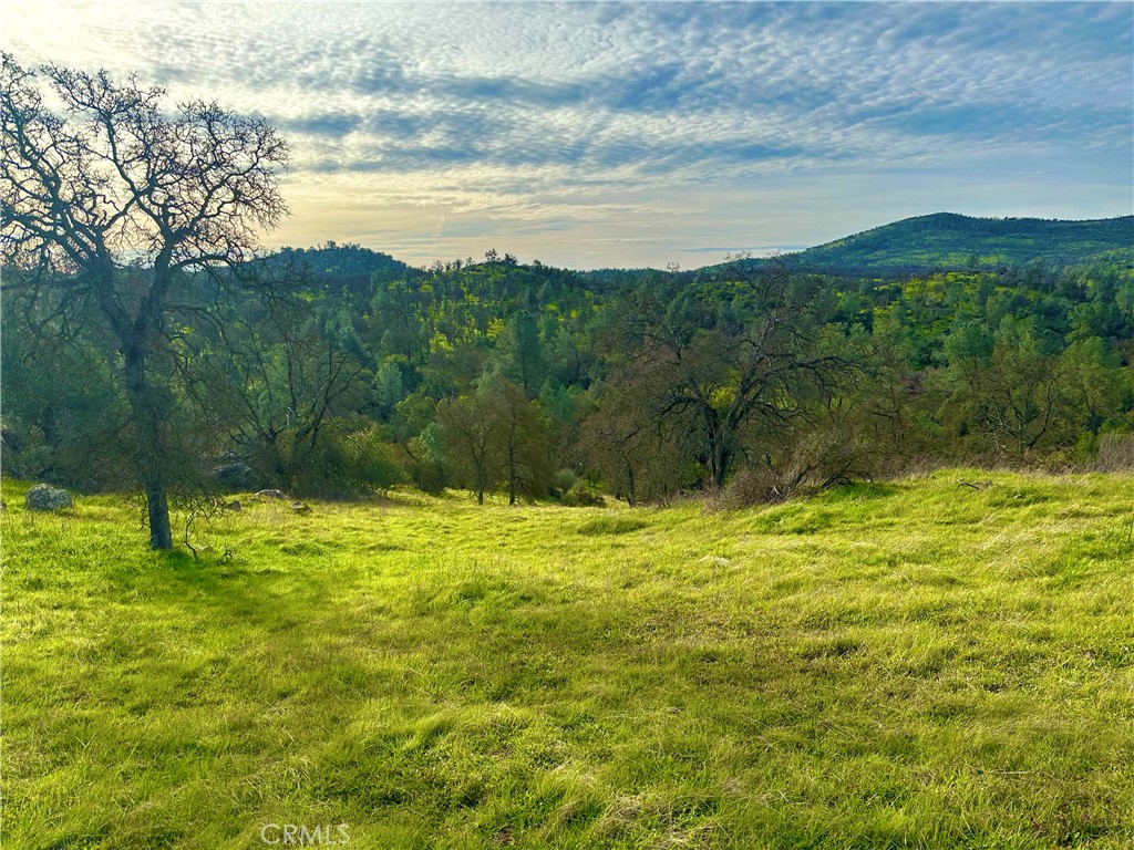 3224 Silver Bush Pl, Catheys Valley, CA 95306