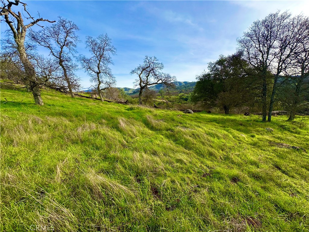 3224 Silver Bush Pl, Catheys Valley, CA 95306