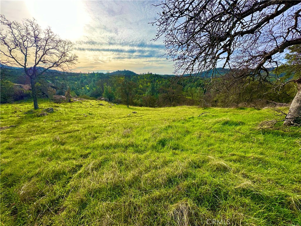 3224 Silver Bush Pl, Catheys Valley, CA 95306