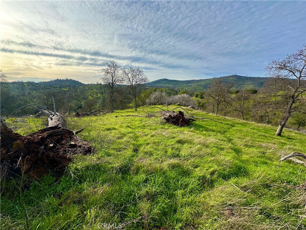 3224 Silver Bush Pl, Catheys Valley, CA 95306