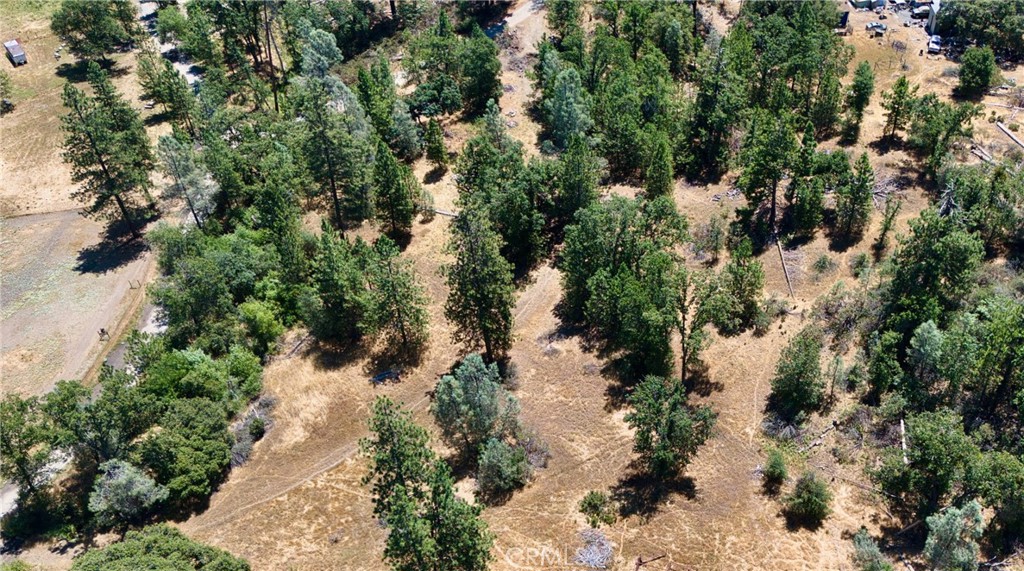 4959 Sierra Pines, Mariposa, CA 95338