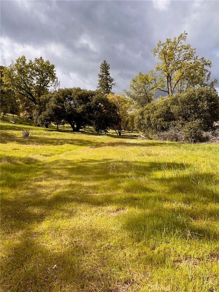 4959 Sierra Pines, Mariposa, CA 95338