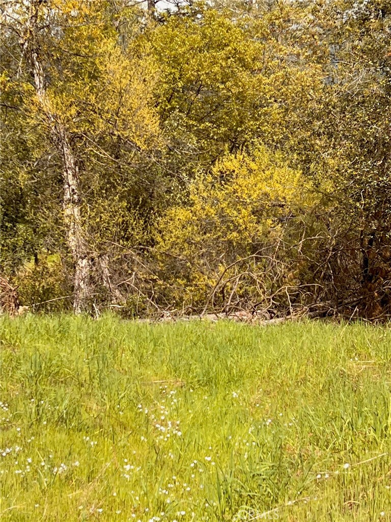 4959 Sierra Pines, Mariposa, CA 95338