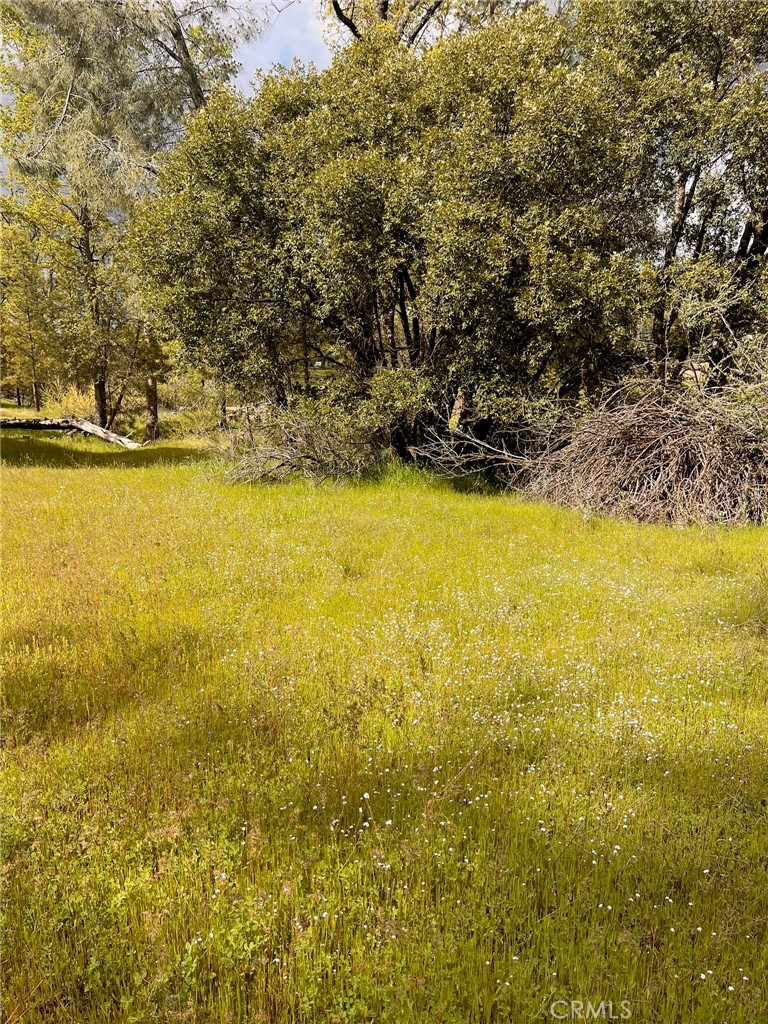 4959 Sierra Pines, Mariposa, CA 95338