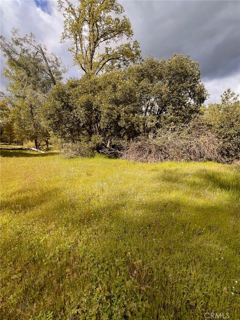 4959 Sierra Pines, Mariposa, CA 95338