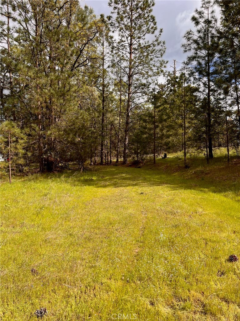 4959 Sierra Pines, Mariposa, CA 95338