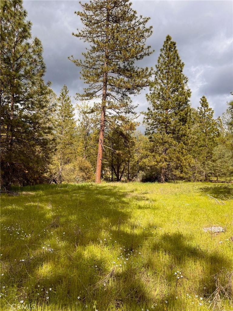 4959 Sierra Pines, Mariposa, CA 95338